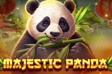 Live casino dealer table streamed on a mobile phone for Filipino players